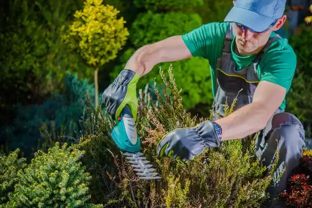 landscaping services Norwich